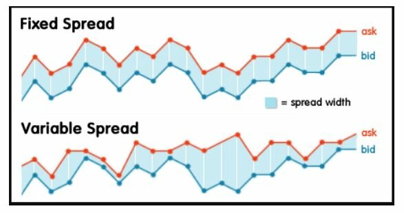 cac loai spread