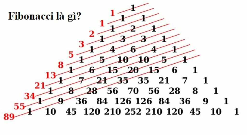 Fibonacci là gì? Ứng dụng của dãy Fibonacci trong trade Forex