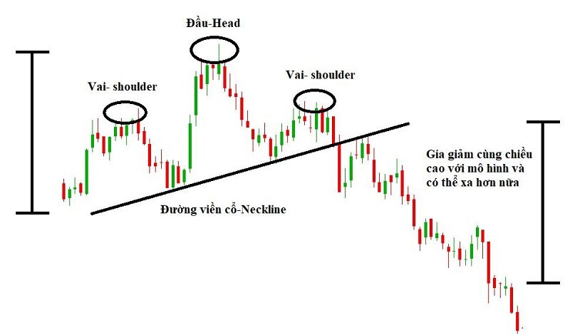 dac diem cua mo hinh vai dau vai