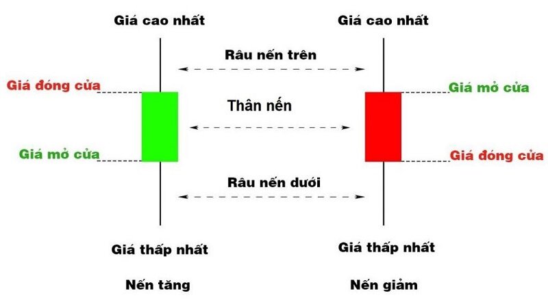 dac diem cua nen nhat