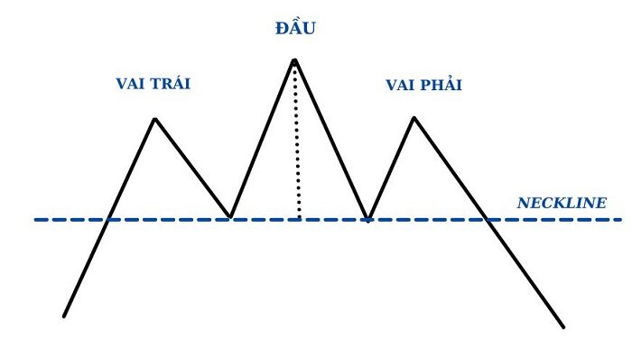 mo hinh vai dau vai thuan