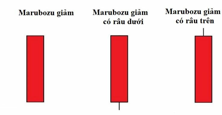 nen Marubozu giam