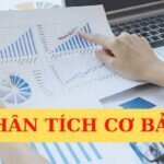 Phân tích cơ bản là gì? Cách phân tích cơ bản trong Forex