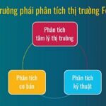 3 trường phái phân tích thị trường Forex phổ biến nhất