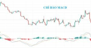 MACD là gì? Chiến lược giao dịch với chỉ báo MACD hiệu quả